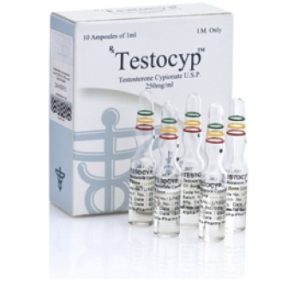 Buy Testocyp 10amps 250mg/ml