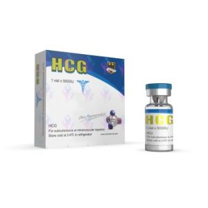 Odin HCG 5000iu (Pregnyl)