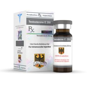 Odin Testosterone Enanthate 250