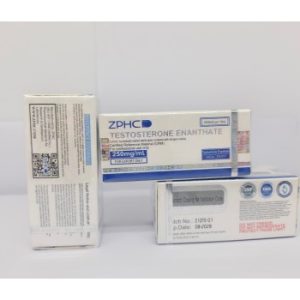 Buy Testosterone Enanthate 1 vial 10ml 250mg/ml
